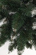 Ялинка королівна Сніжна КС-1.3М 1,3 м (2000903455752)(NY) Фото 4 з 4