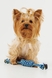 Игрушка канат с узлами для собак KUMAOCHONGWUYONGPIN KM52661 Синий (2000990382917)