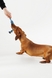 Іграшка канат з вузлами для собак KUMAOCHONGWUYONGPIN KM52661 Синій (2000990382917)