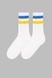 Шкарпетки чоловічі 4820163314549 40-45 Білий (4820163314549А) Фото 2 з 6