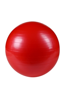 М'яч для фітнесу 55см NT11271 (2002008364786)