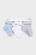 Шкарпетки для хлопчика PierLone P1636 3шт. 0-6 місяців Різнокольоровий (2000989536697A) Фото 1 з 7