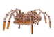 Механічно сувенірно-колекційна модель "Механічний павук" 1057 (4820195191057) Фото 4 з 5
