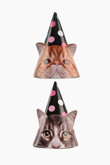 Набір ковпаків на голову "Maxi" "Funny Cats" 6шт.,+ гумка MX273 Різнокольоровий (4829144002734)