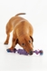 Іграшка канат з вузлами для собак KUMAOCHONGWUYONGPIN KM52661 Синьо-червоний (2002014440924)