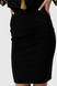 Спідниця однотонна жіноча 485-21 44 Чорний (2000989142164D) Фото 1 з 11