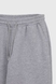 Спортивные штаны мужские Demos MBC02306 baza 2XL Серый (2000990022424W) Фото 9 из 13