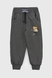 Спортивні штани з принтом для хлопчика Atescan 805 98 см Сірий (2000990131560D) Фото 1 з 5