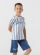 Костюм футболка+шорти для хлопчика Baby Show 5187 116 см Синій (2000990528162S) Фото 5 з 17