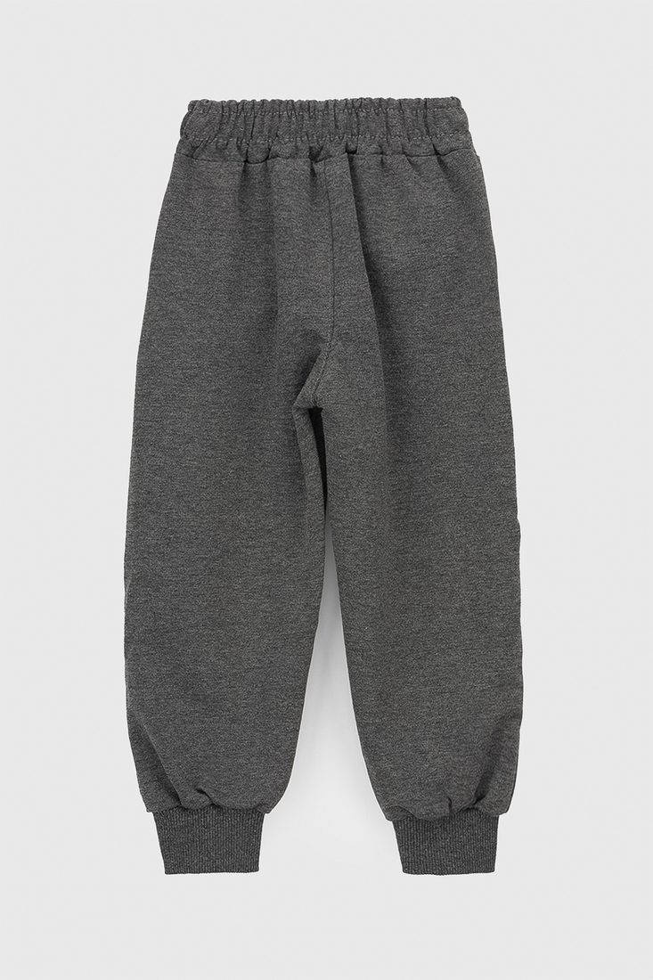 Фото Спортивные штаны с принтом для мальчика Atescan 805 104 см Серый (2000990131591D)
