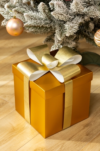 Коробка подарункова PY52641 25х25 см Золотий (2000990241627)