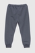 Костюм для хлопчика (світшот+штани) Baby Show 24602 104 см Синій (2000990338259D) Фото 7 з 10