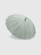 Парасолька жіноча 559-25 М'ятний (2000990547521А) Фото 2 з 7