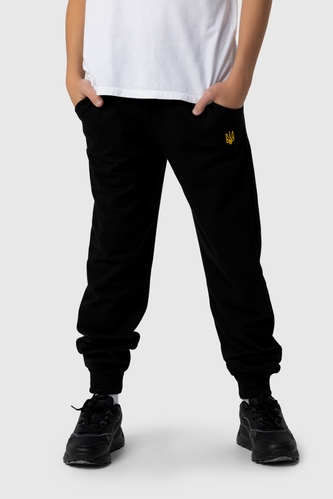 Фото Спортивные штаны патриотические для мальчика Deniz Герб-1 164 см Черный (2000990056016D)
