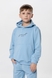 Костюм для хлопчика (худі+штани) Ecrin 2501 140 см Блакитний (2000990239754D) Фото 2 з 20