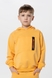 Костюм для хлопчика (худі+штани) Ecrin 2503 140 см Жовтий (2000990239952D) Фото 2 з 21