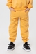 Костюм для хлопчика (худі+штани) Ecrin 2503 140 см Жовтий (2000990239952D) Фото 3 з 21
