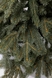 Новорічна ялинка HongDaGongYi HD-PEH-L45+L16BS 120 см (2002007351534)(NY) Фото 3 з 4