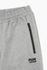 Спортивні штани чоловічі завужені Tommy life 84945 2XL Сірий (2000989534723D) Фото 13 з 15