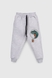 Спортивні штани з принтом для хлопчика Pitiki 9791 Діно 110 см Сірий (2000990046840W) Фото 1 з 6