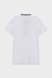 Вышивка-футболка мужская Традиция 2XL Белый (2000989574613А) Фото 12 из 12