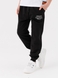 Спортивні штани для хлопчика Deniz 3011 140 см Чорний (2000990489807D) Фото 1 з 10